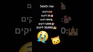 תעזרו לחתול בבקשה