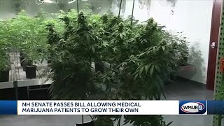 NH Senate passes bill allowing medical marijuana patients to grow their own