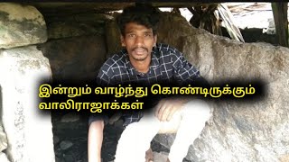 இன்றும் வாழ்ந்து கொண்டிருக்கும் வாலிரா‌ஜாக்கள்