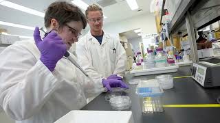 Life at Berkeley Lab