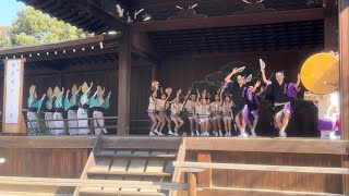 【かぐら連】 靖国神社境内・能楽堂での奉納阿波踊り（踊り込み＆クロージング） #かぐら連創立50周年記念 #靖国神社奉納阿波おどり  #阿波踊り #awaodori #祭り 20241109(土)