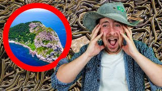 I explored Snake island, Brazil
