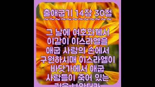 758. 성경입문 가이드: 출애굽기 14장 29절~30절 - 그러나 이스라엘 자손은 바다 가운데를 육지로 행하였고 물이 좌우에 벽이 되었더라