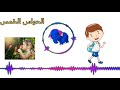 أنشودة (الحواس الخمس)رائعة للأطفال بدون ايقاع