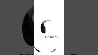 눈에 뜨거운 물을 넣으면 어떻게 될까? #눈 #실험