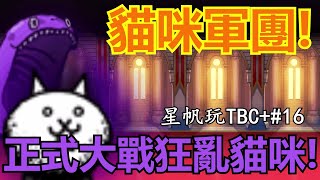 《貓咪大戰爭+》傳奇故事開始出事！事情開始變得有趣了！？| 星帆玩TBC+#16