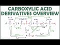 Carboxylic Acid Derivatives Overview and Reaction Map