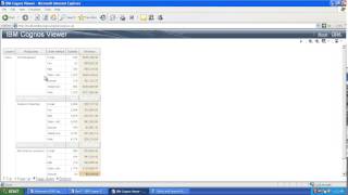 select and search prompt in cognos report studio