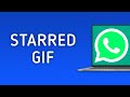 How to Add GIF Message to Starred Messages in WhatsApp on PC