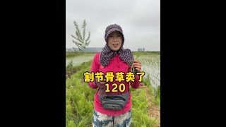 我這短短的一生，追求的幸福，也莫過于廚房有煙火，家里有溫暖，心里有牽掛！#我的鄉村生活#鄉村味道#2023新農人計劃