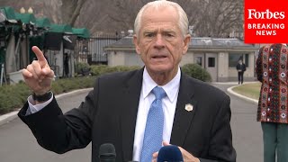 JUST IN: Top Trade Adviser Peter Navarro Gives Update On Trump's Canada, China, And Mexico Tariffs