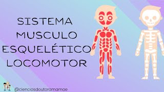 Sistema Locomotor Músculo Esquelético