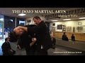 Punch Defense Options - The Dojo Martial Arts Samurai Ninjutsu School