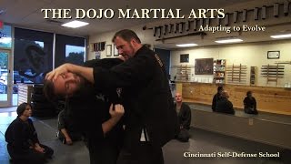 Punch Defense Options - The Dojo Martial Arts Samurai Ninjutsu School