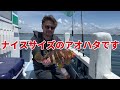 【釣り】今季初！相模湾で😀ヒラメ釣り〜✌️ 釣り 沖釣り ヒラメ釣り 相模湾釣り