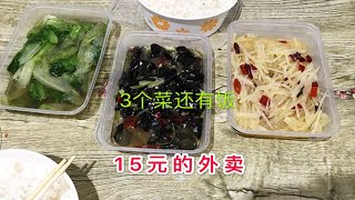 15元的外卖3个菜还有饭，屌丝小叔第一次吃外卖划算？