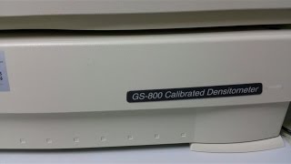 How to take/scan SDS PAGE gel photo using Densitometer GS800 Calibrated Densitometer