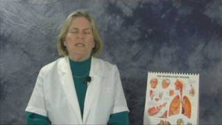Blood Vessels : Which Blood Vessels Carry Blood Toward the Heart?