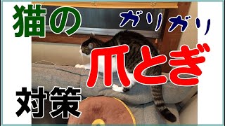 【猫動画】猫の爪とぎをDIYで作りましたが・・想定外の使用拒否。どうしたら使って貰えるのか？