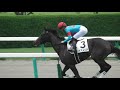 リアアメリア（川田騎手）、笑ってしまうほどの圧勝。新馬戦。現地映像、阪神競馬場