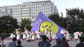 角田いなせ組 / あすと長町杜の広場公園 / みちのくYOSAKOIまつり / 2024-10-12