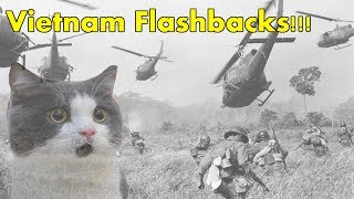 FUNNY MEMES COMPILATION: CAT HAVING VIETNAM FLASHBACKS!