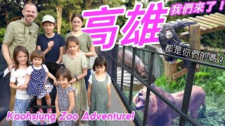 高雄，我們來了！跟我們一起逛壽山動物園+好吃的晚餐 A Most Pleasant Stroll Through the Kaohsiung Zoo + A Scrumptious Dinner!