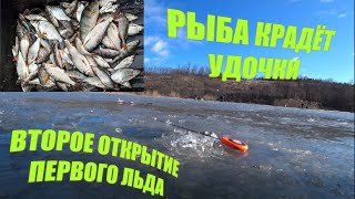 ШОК!!! рыба ворует удочки , тарань клюёт на мотыля