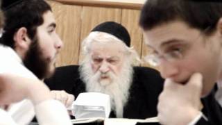 Rav Shaul Brus Zatzal