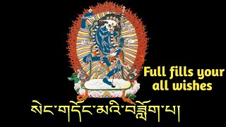 སེང་གདོང་མའི་བཟློག་པ།  sengdongma  dogpa | Full fills your all wishes  #prayer #buddhist