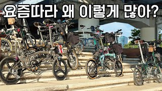 1년사이 유독 이 자전거가 눈에 띄게 많아진 이유ㅣ트라이폴드 유사브롬톤