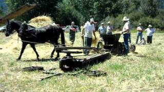 Horse driven baler