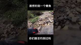 1 鱼乐阿军 老胖子 路亚去钓鱼，居然钓到一个鲤鱼，这鲤鱼饿啥样了。 #钓鱼 #路亚 #生活 2022#Short#