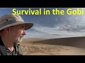 Deserts: origin and ecology
