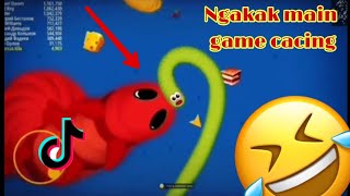 TikTok Wormszone io gameplay(best funny worms zone tik tok)cacing Alaska 2021