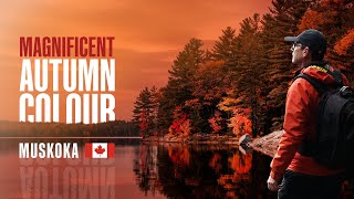 Autumn Landscape Photography / Hiking 🍁 Muskoka Lakes Ontario 🇨🇦
