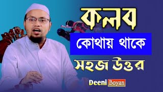 কলব কোথায় থাকে | Mufti Rezaul Karim Abrar Notun waz 2023