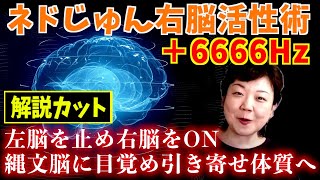 【解説カット】ネドじゅん瞑想強化版｜6666Hzで自動思考を抹消｜右脳を活性化させ縄文脳となりワンネス体験を経て凄まじい引き寄せ体質となる