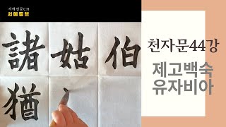 임서 臨書 체본 千字文 천자문 44강 제고백숙유자비아 諸姑伯叔猶子比兒 서예학원 천자문 암송 한문서예 명필 서예가 희암김상범 온새미로수제도장 힐링