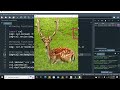 Tutorial 3- Drawing Functions in OpenCV | Image Processing Course| Computer Vision