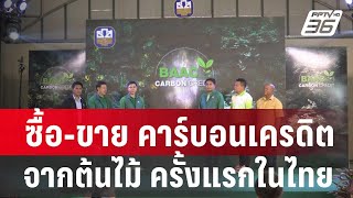 ซื้อ-ขาย ”คาร์บอนเครดิต” จากต้นไม้ ช่วยชุมชนมีรายได้ 1.2 ล้าน | เที่ยงทันข่าว | 8 ก.พ. 67