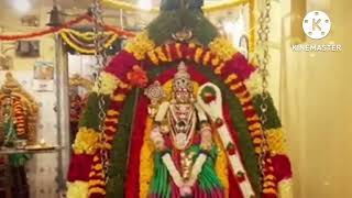 Denkanikottai Amman festival 🎎