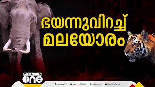 'പകല് പോലും പുറത്തിറങ്ങാൻ വയ്യ, പേടിയാ..'; ഇടുക്കിയിൽ ഈ വർഷം മാത്രം കൊല്ലപ്പെട്ടത് 5 പേർ