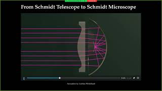 Mollusc-inspired multi-immersion microscope objectives