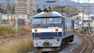 JR貨物　EF210 301 桃太郎 単機　山陽本線 向洋駅