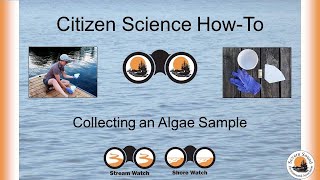 How to collect an algae sample – Shore Watch