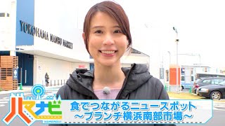 ハマナビ　2019年12月7日放送　食でつながるニュースポット～ブランチ横浜南部市場～