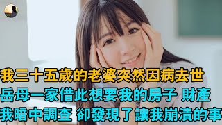 我三十五歲的老婆突然因病去世，岳母一家借此想要我的房子 財產，我暗中調查 卻發現了讓我崩潰的事