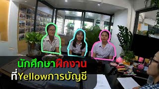 ชีวิตในสำนักงานบัญชีYellow : นักศึกษาฝึกงานที่Yellowการบัญชี