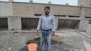 Dr Jomon performing Ice Bucket Challenge (പട്ടിണിക്കെതിരെ ഐസ് ബക്കറ്റ്‌ ചലഞ്ചുമായി മലയാളി യുവാവ്)